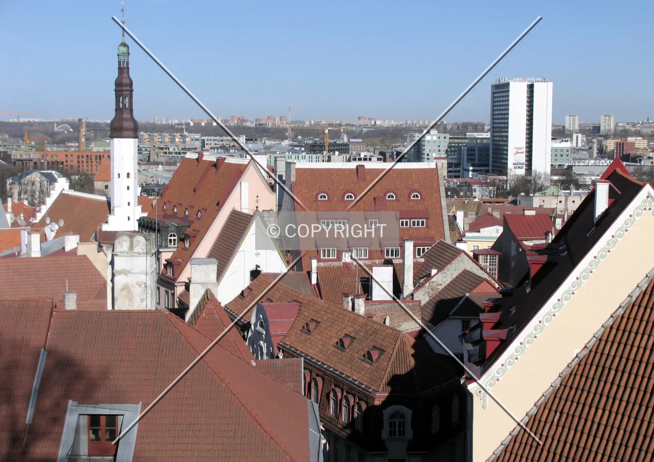 Red roofs in old town