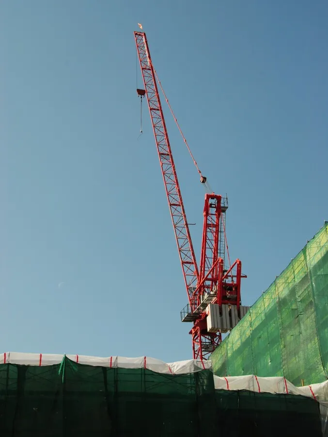 Photo 894-382-246