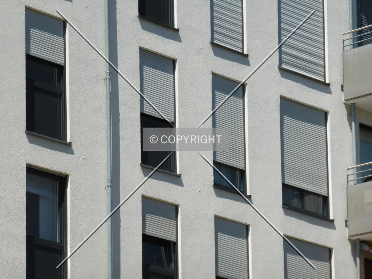 Photo 894-889-681