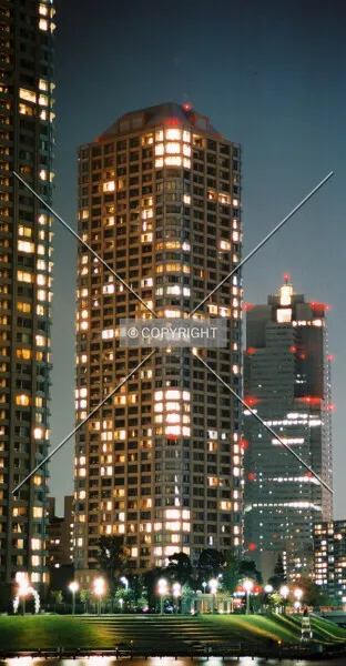 Photo 895-017-845