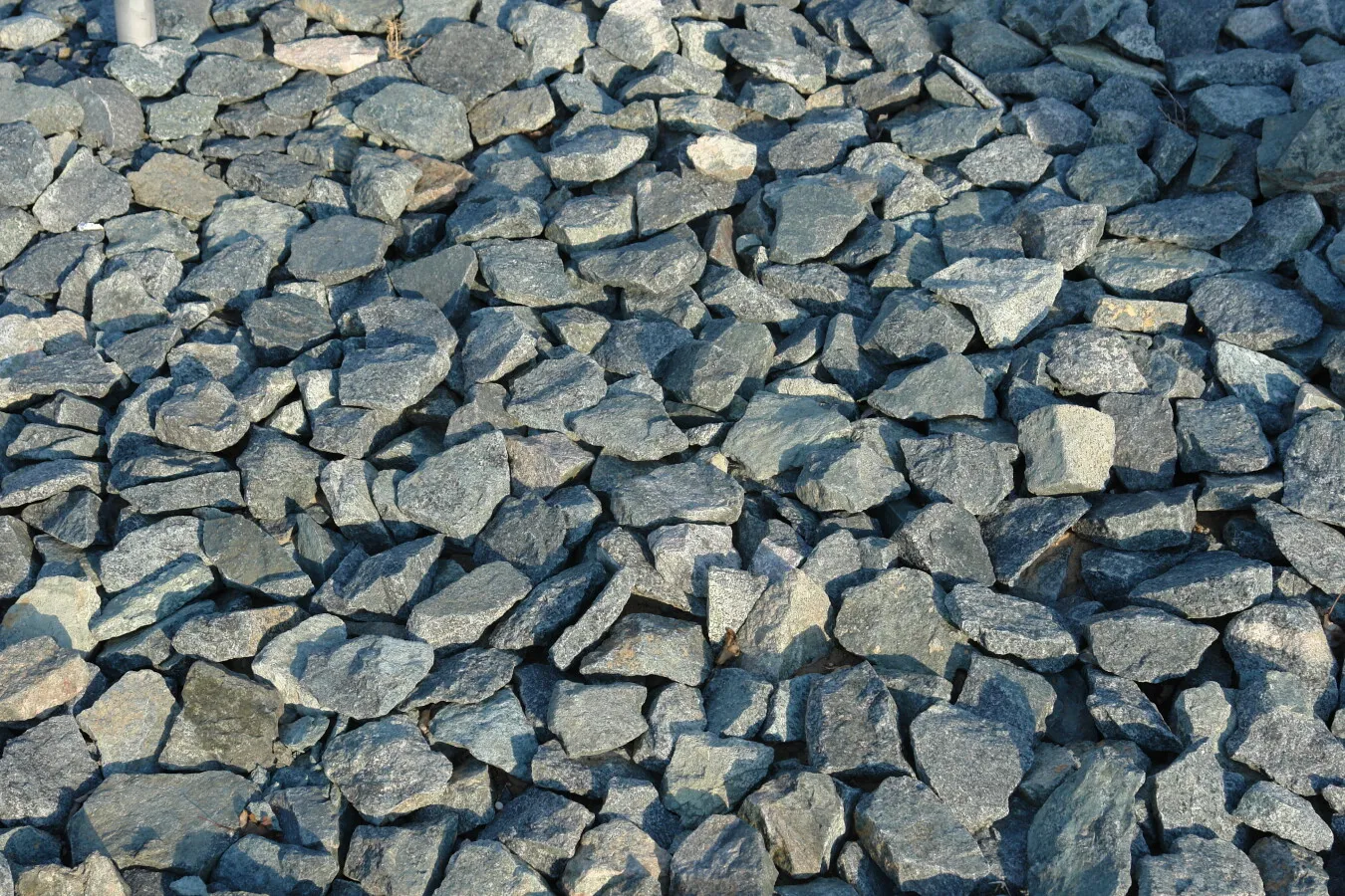 Photo 895-190-251