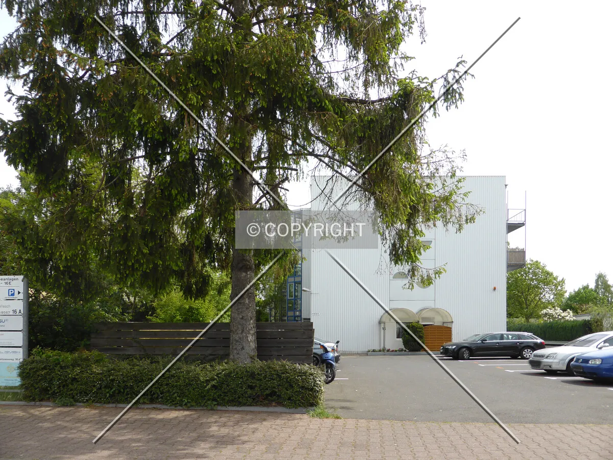 Photo 089-536-898