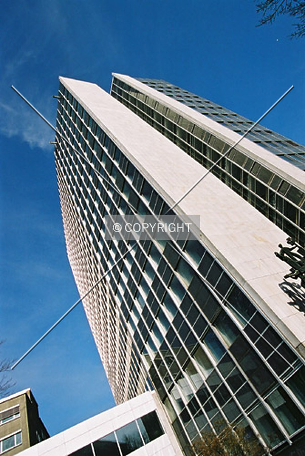 View to the top