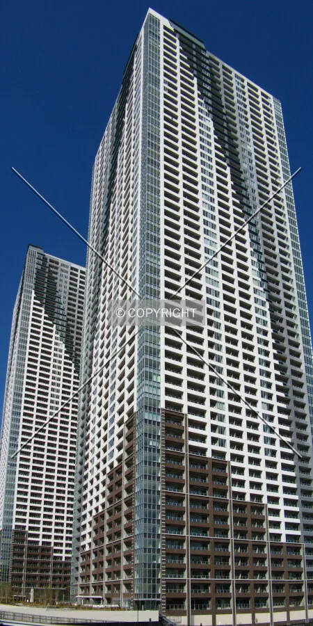 View from the south