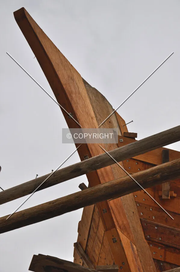 Photo 896-195-562