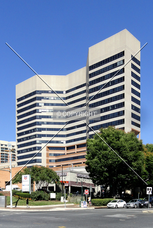 From across Colesville Road to the south