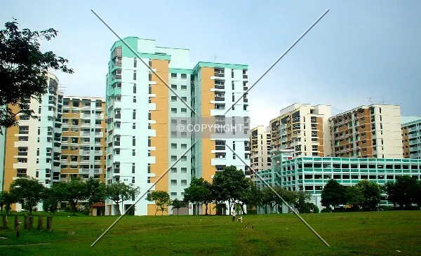 View from Block 349