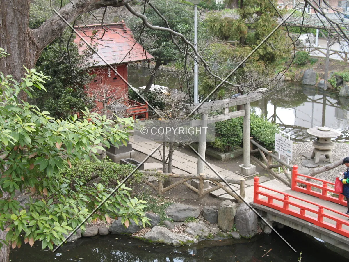 Photo 896-998-776