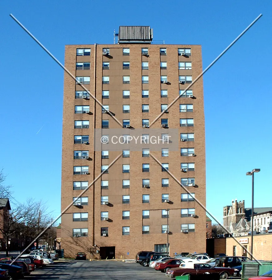 View from the east