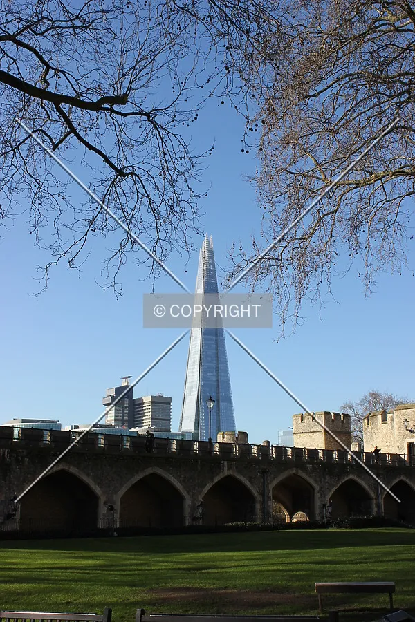 Photo 898-631-910
