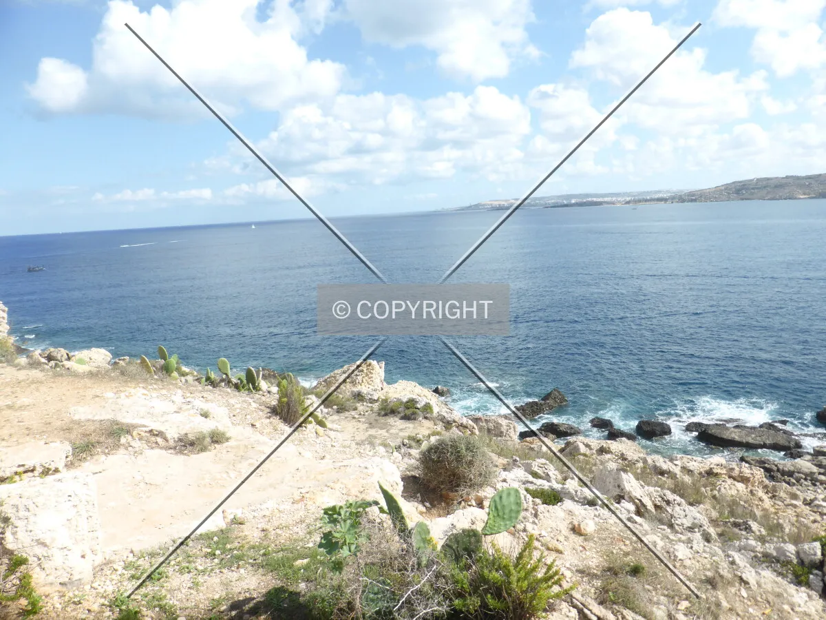 Photo 898-766-485