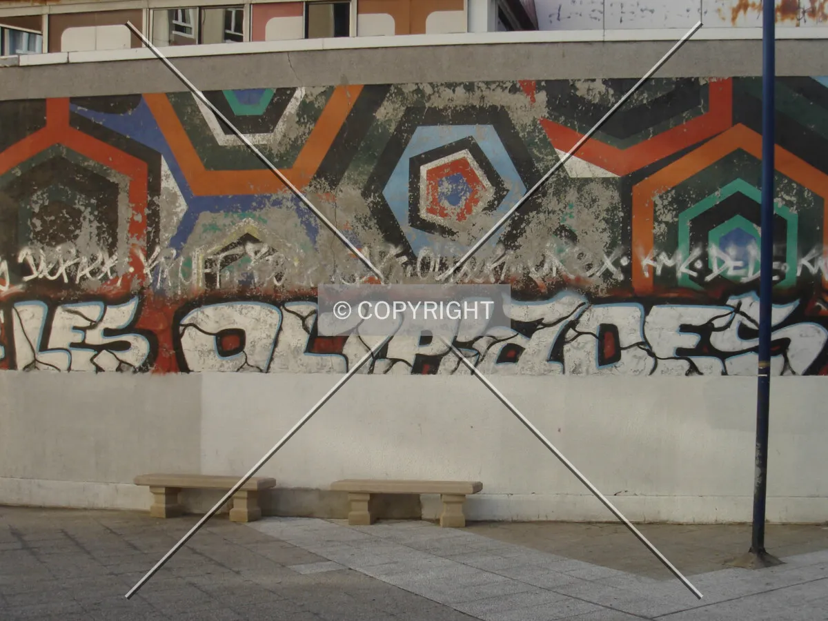 Photo 898-950-379