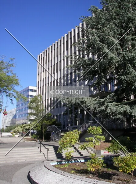 Photo 899-343-647