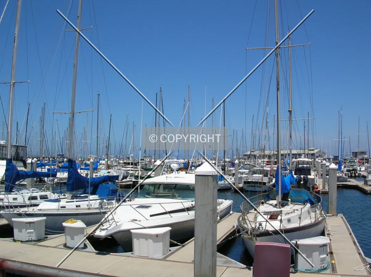 View on the harbor