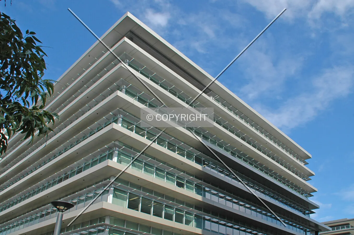 Looking up the northeast corner
