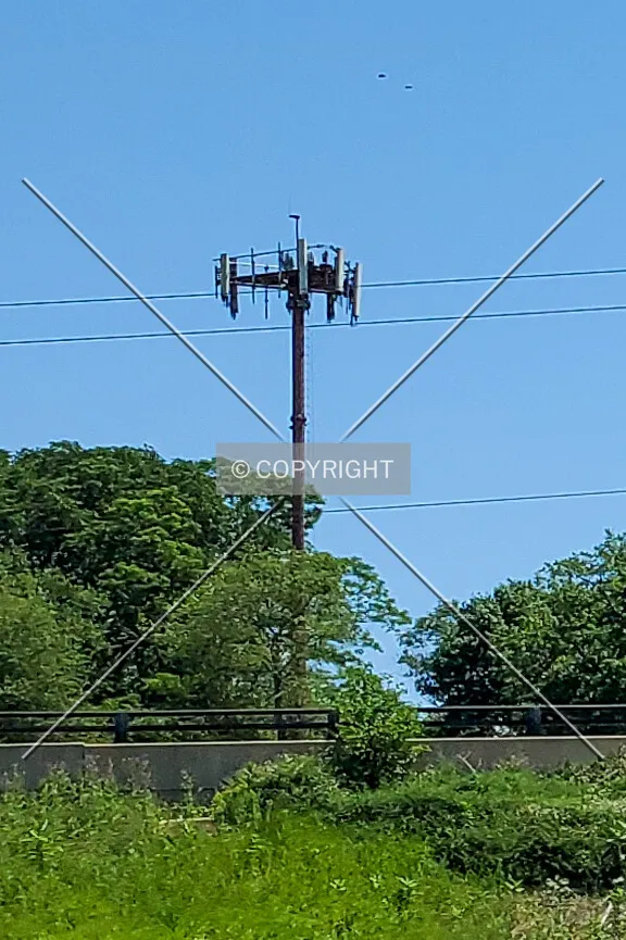 Southwest view; June 6, 2020