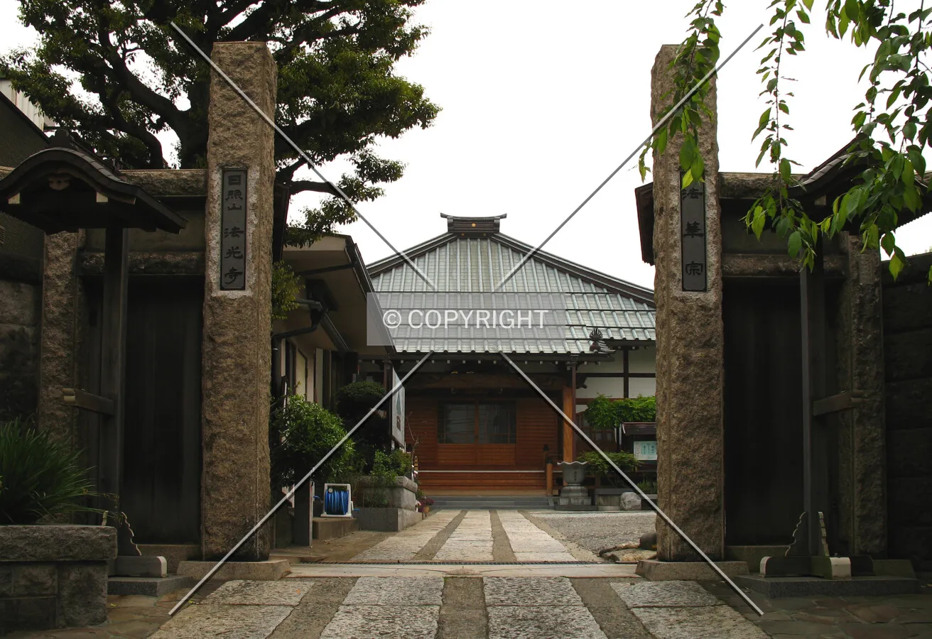 View from the west