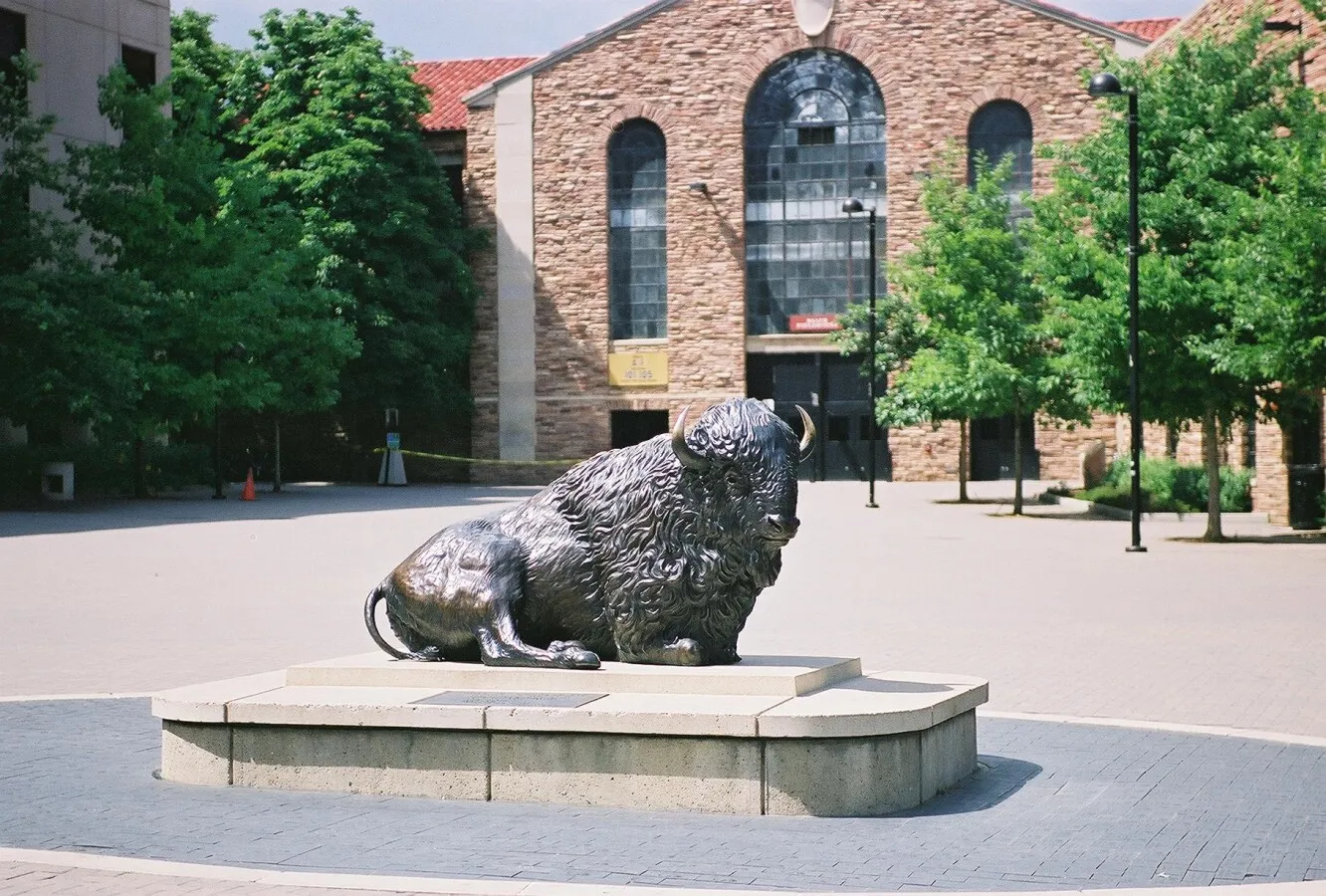 Buffalo Sculplture