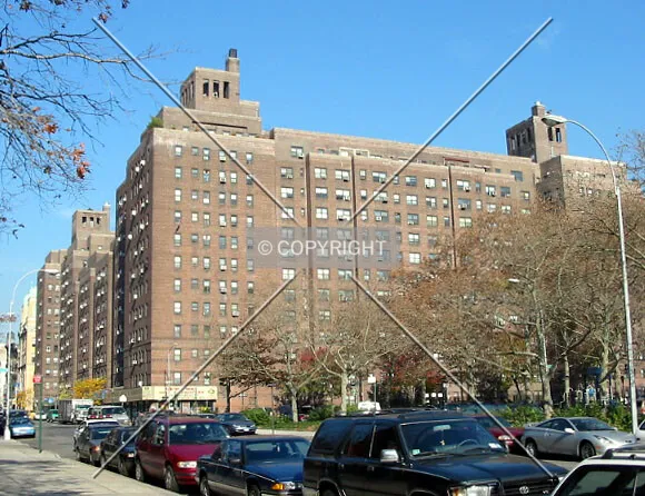 View from the south