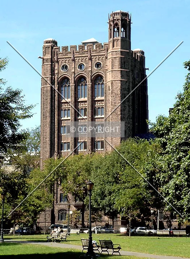 View from the east across the New Haven Green