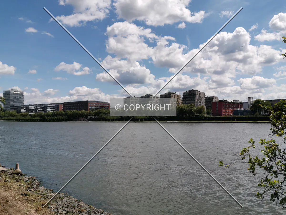 Main river in Frankfurt