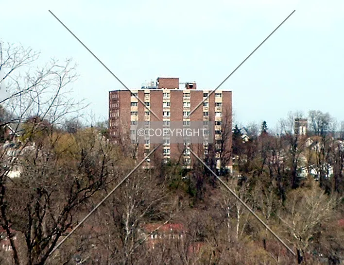 View from the southwest