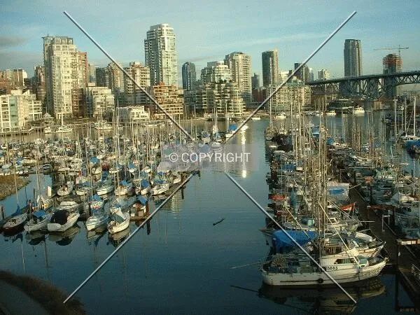 False Creek