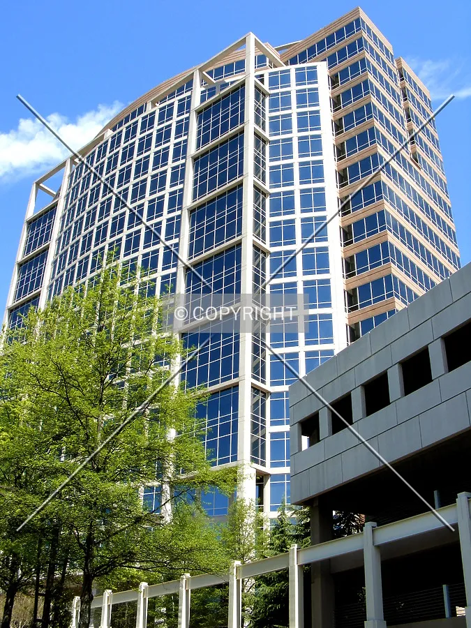 Looking up to the northeast