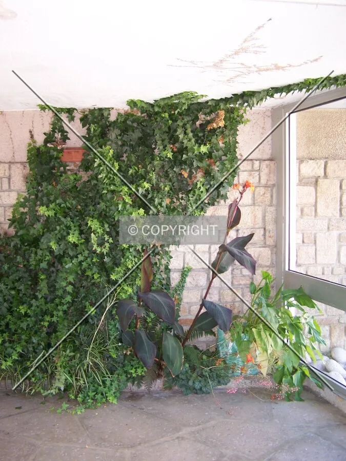 Plantes dans le hall d'entrée