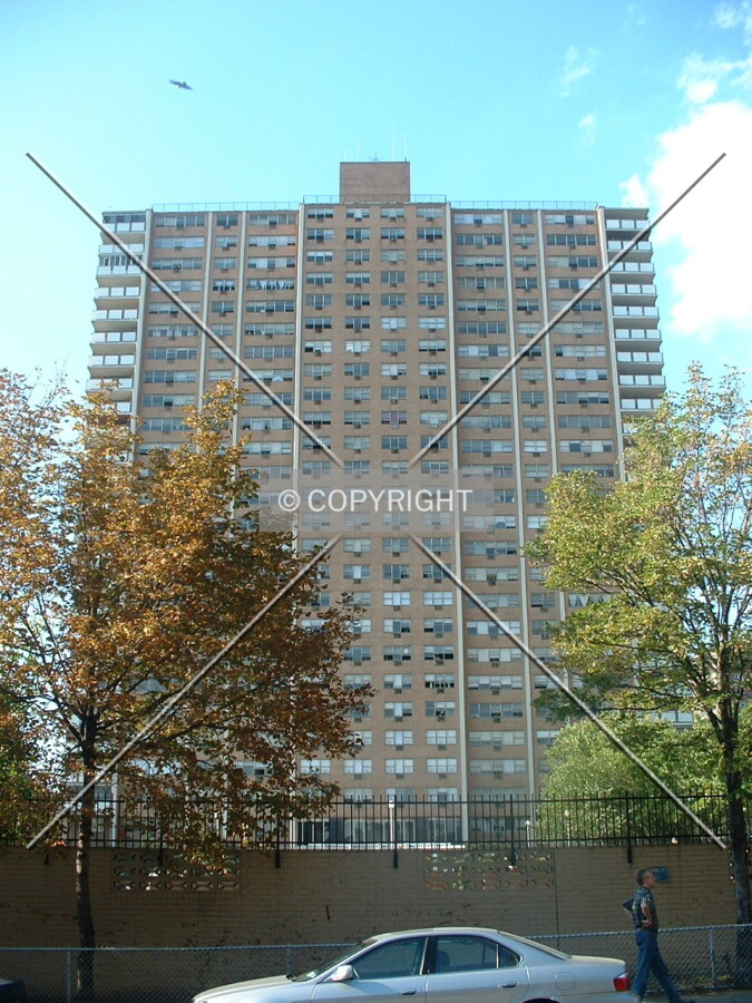 View from Elder Avenue