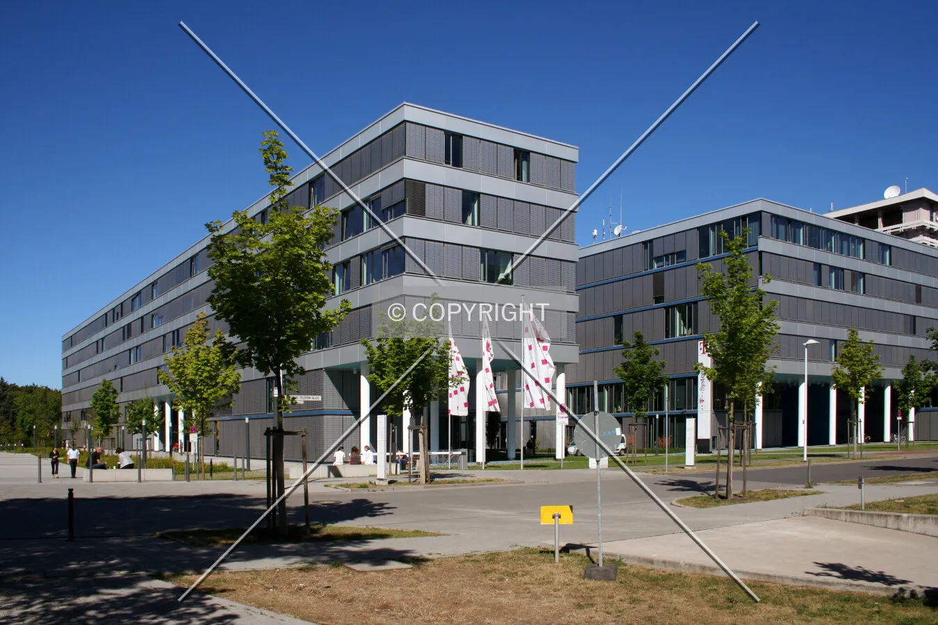 View from the southeast