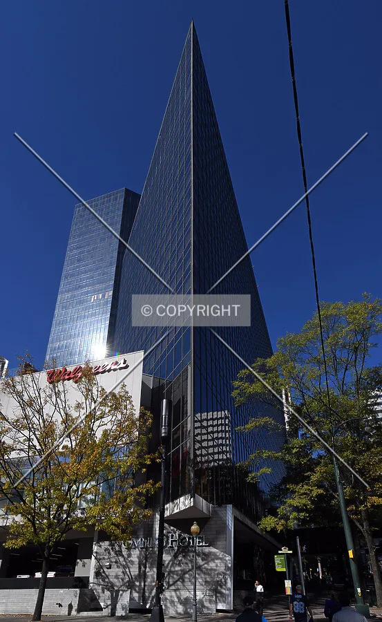 View from the southeast