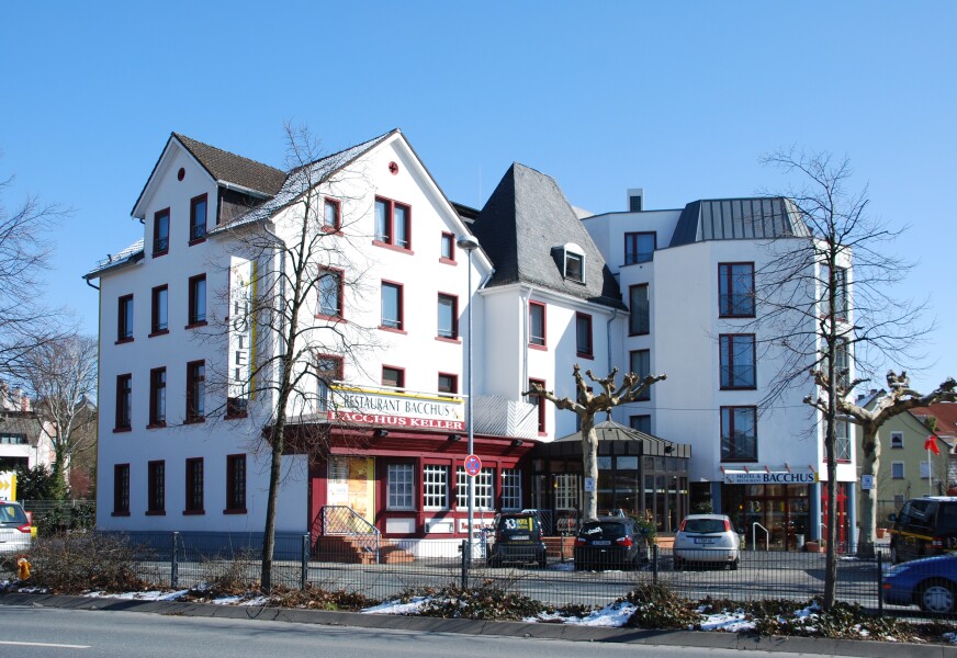 Hotel Bacchus