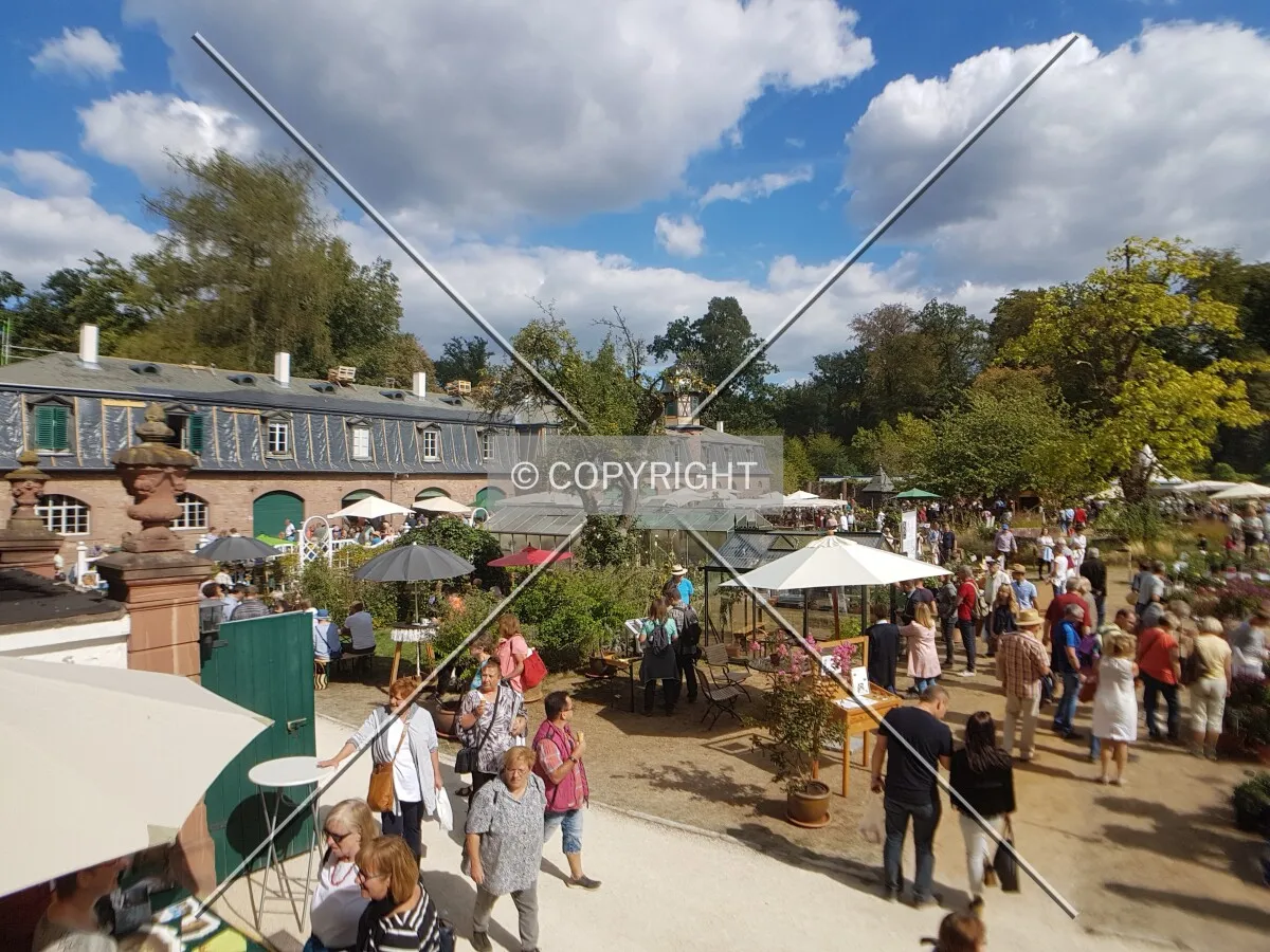 Schloß Wolfsgarten in 2018