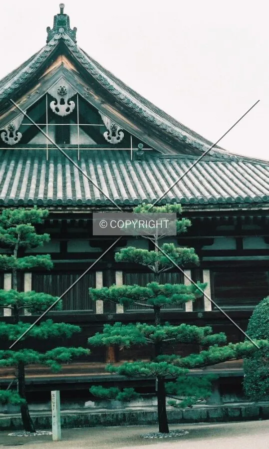 Shogun's Palace