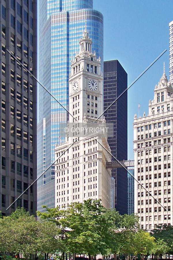 View from the northeast