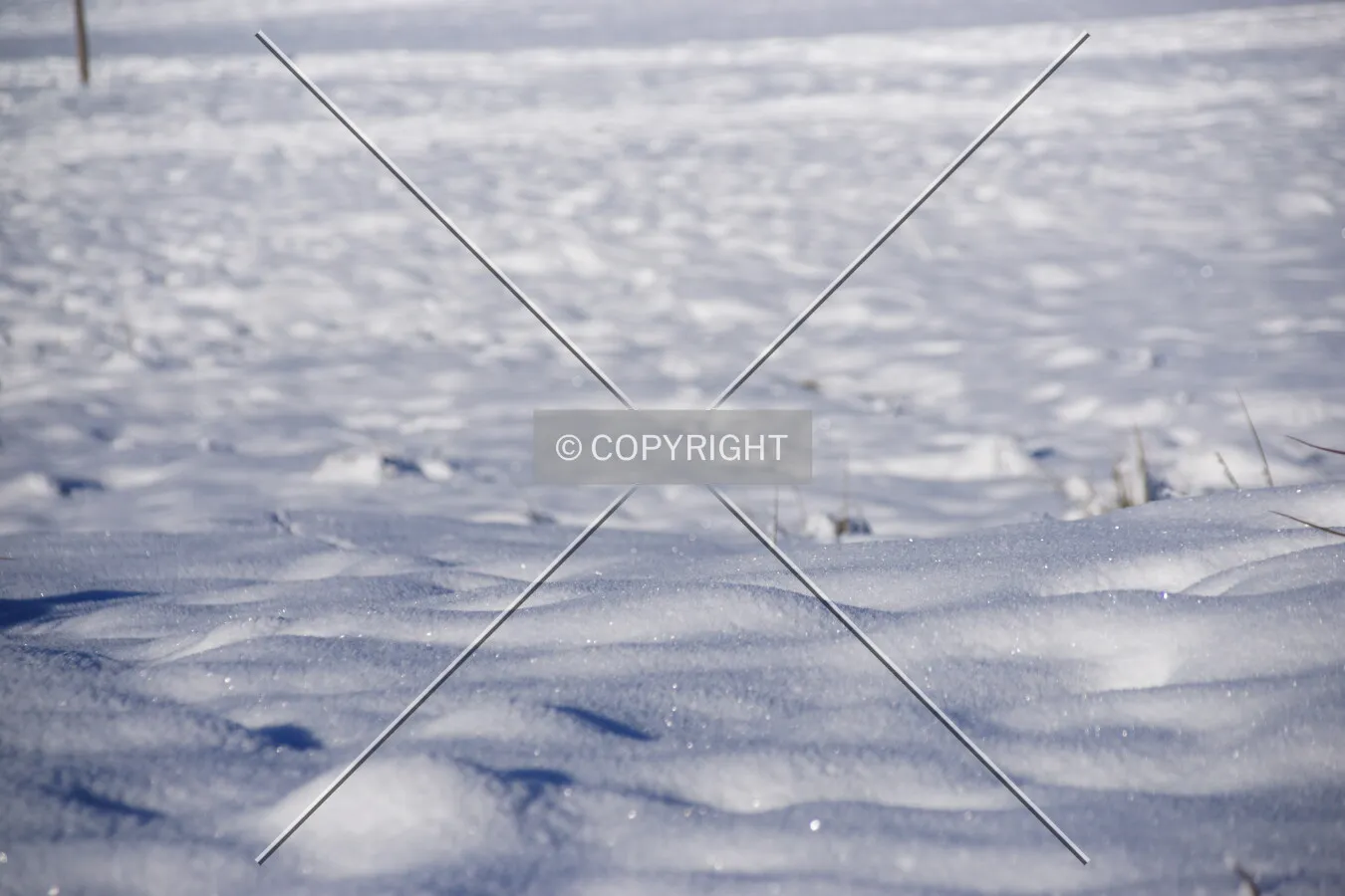 Crisp snow