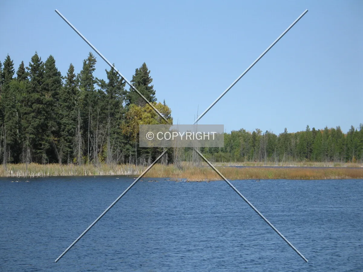 Lakes along Saskota Flyway