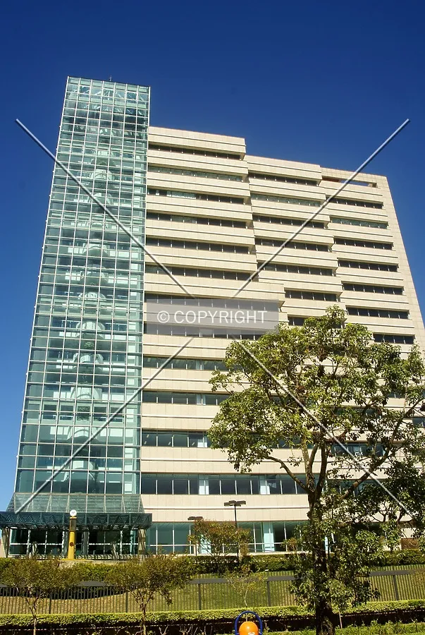Looking up from across Dolores Alcaraz Caldas Street