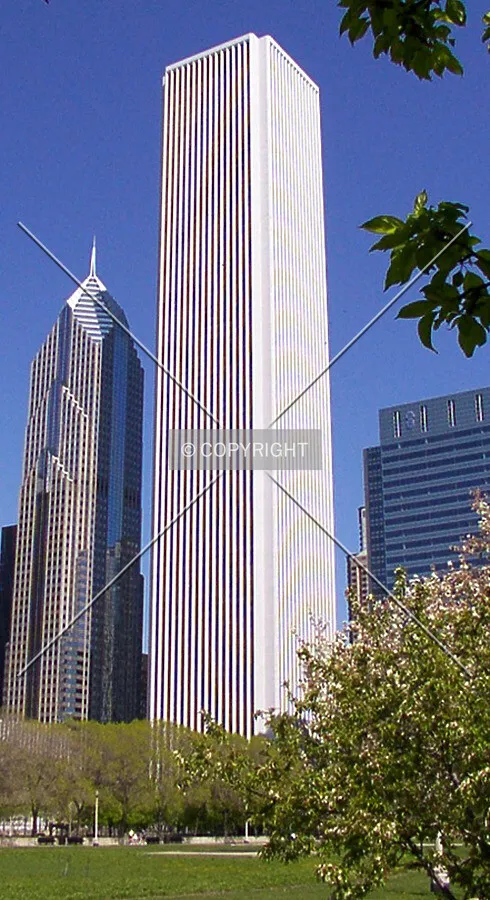 View from Grant Park