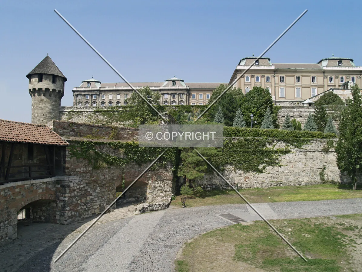View from the southern garden