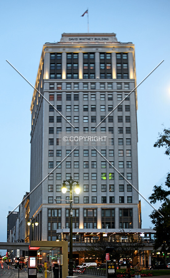 View from the north