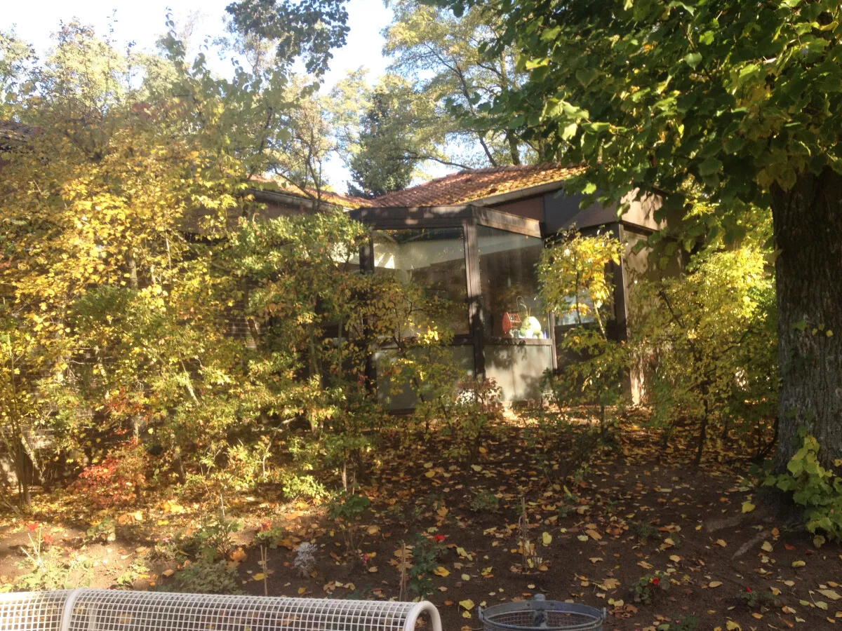 Photo 909-613-873