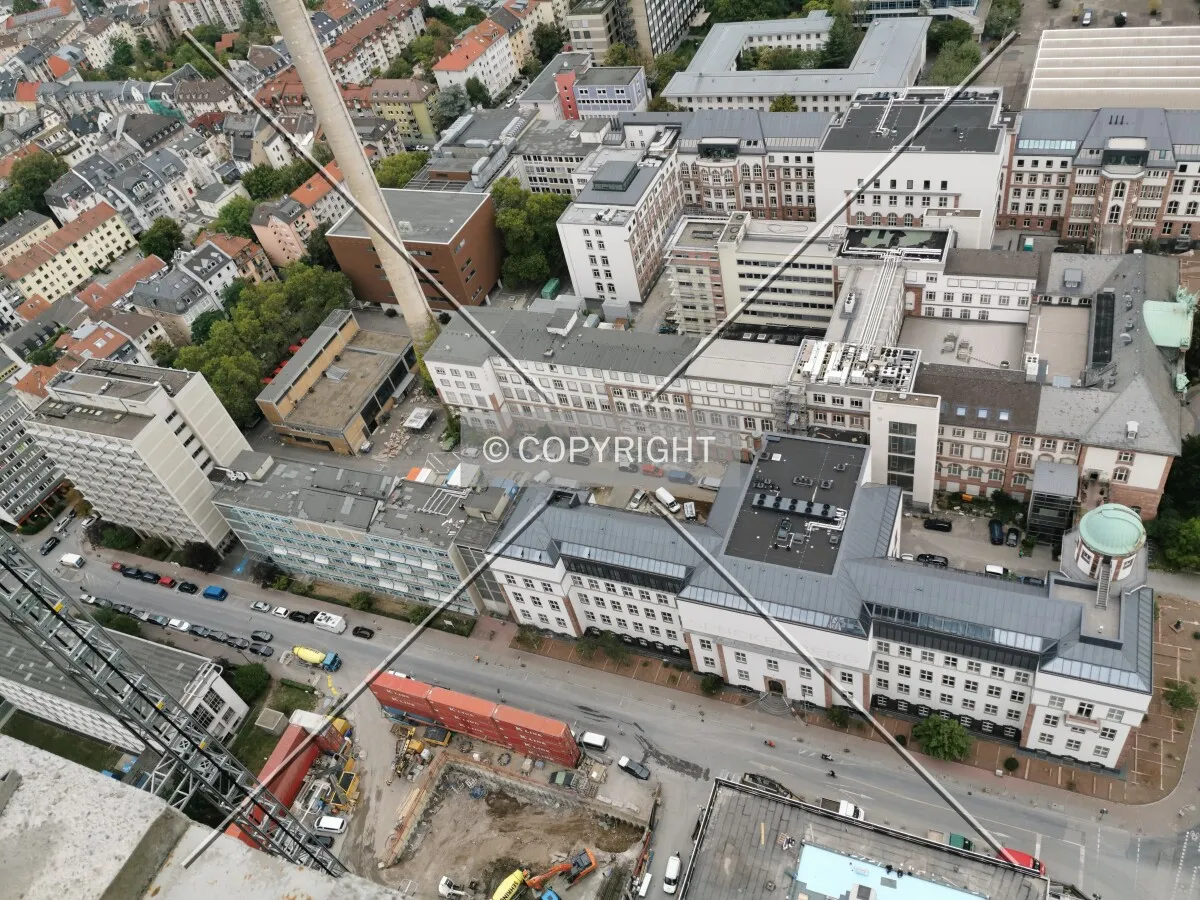 Senckenberg Museum