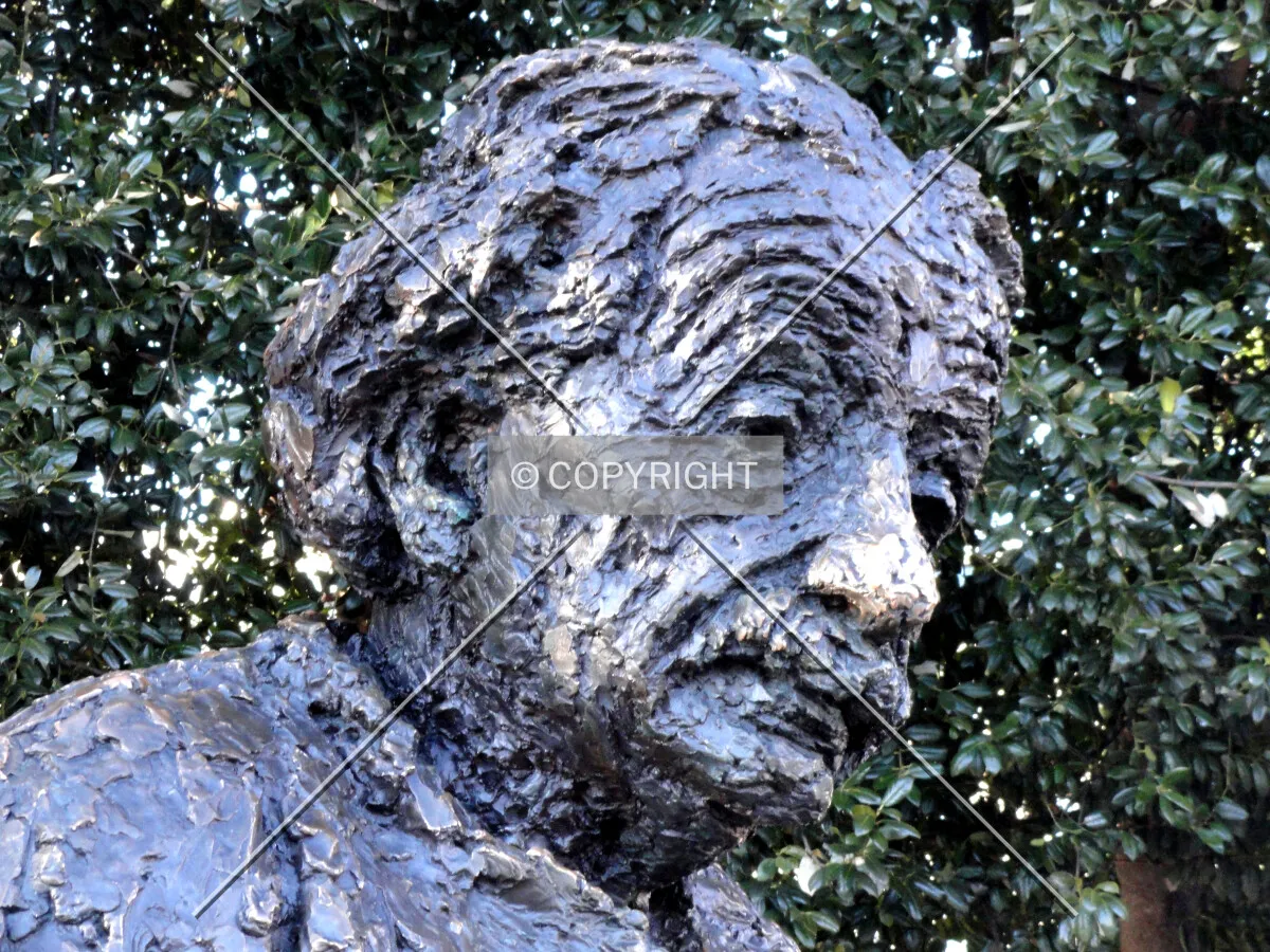 Face detail