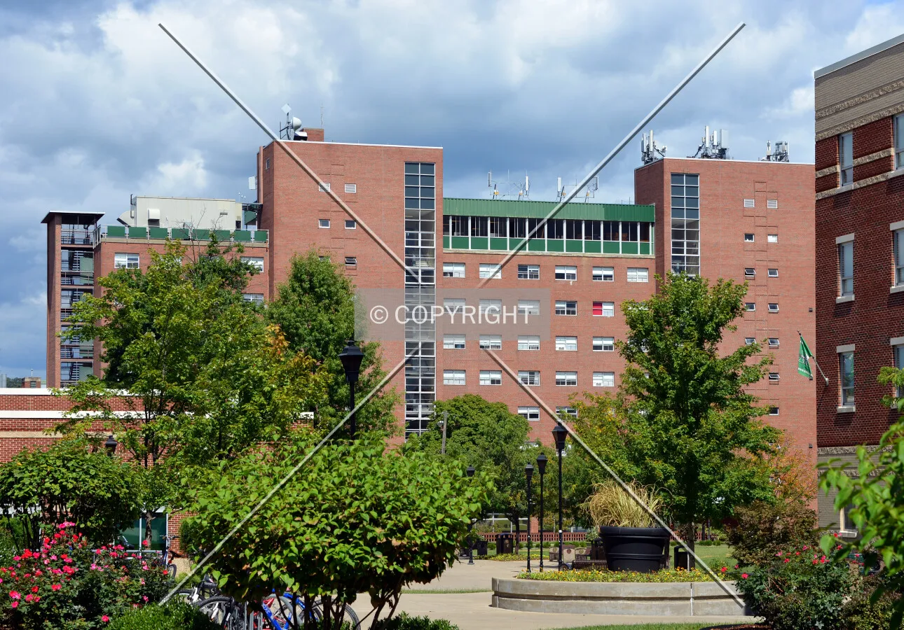 View from the southwest
