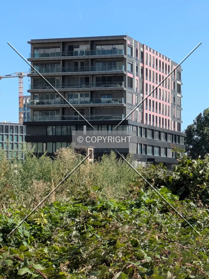 From the west