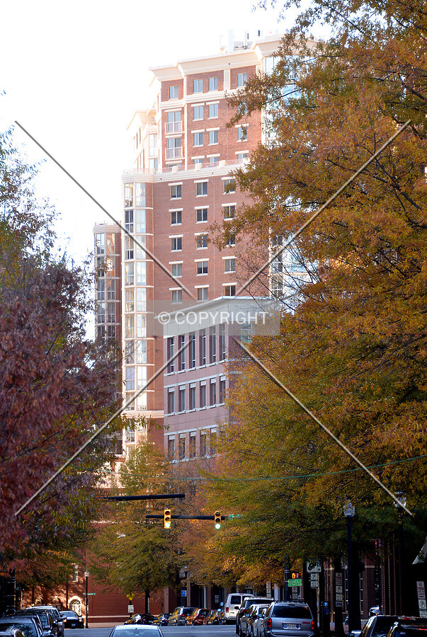 View from the southeast