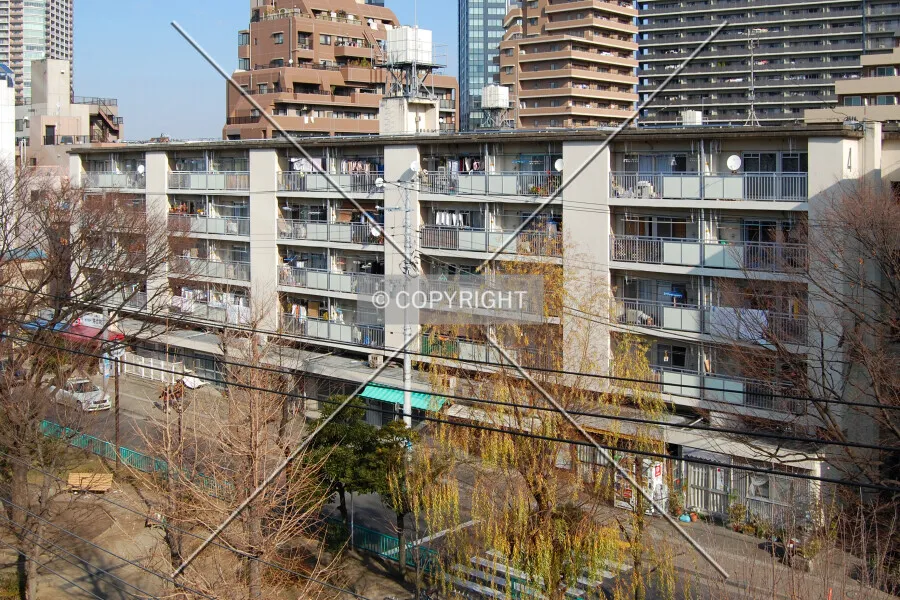 Photo 911-828-345