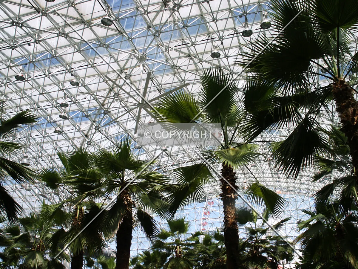 Inside the gardens
